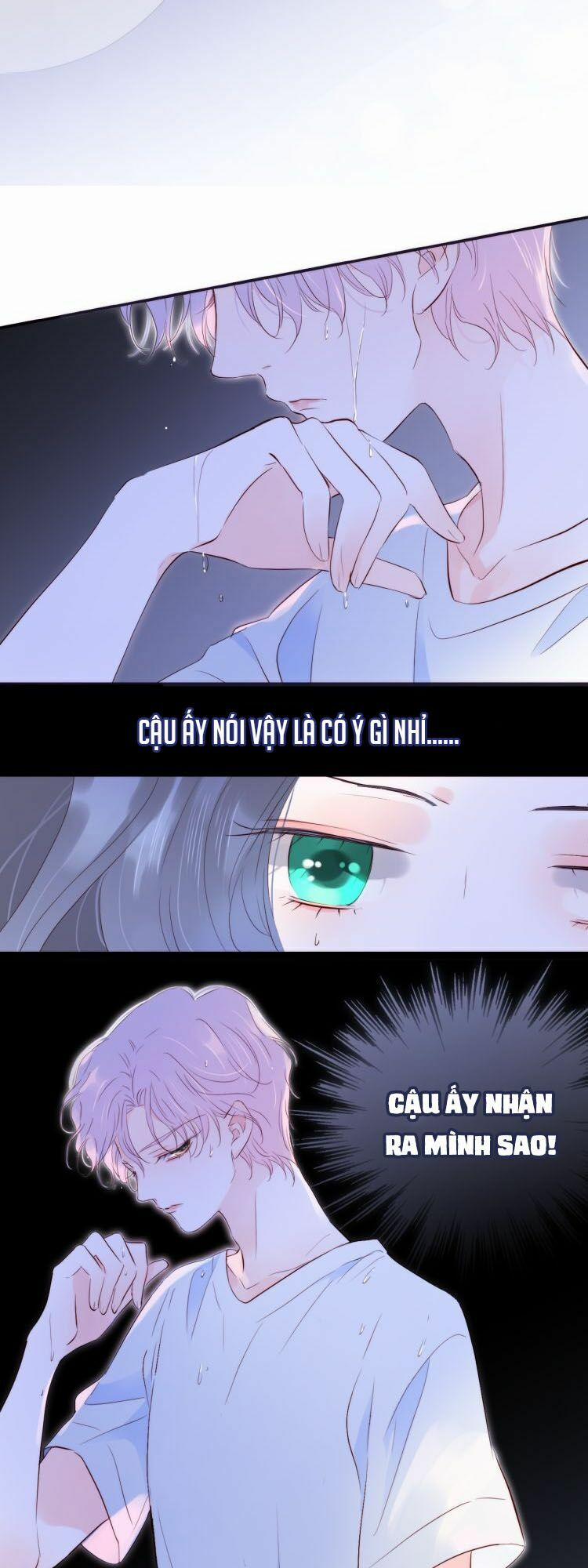 Chạy Trốn Cùng Con Nhím 4 trang 3