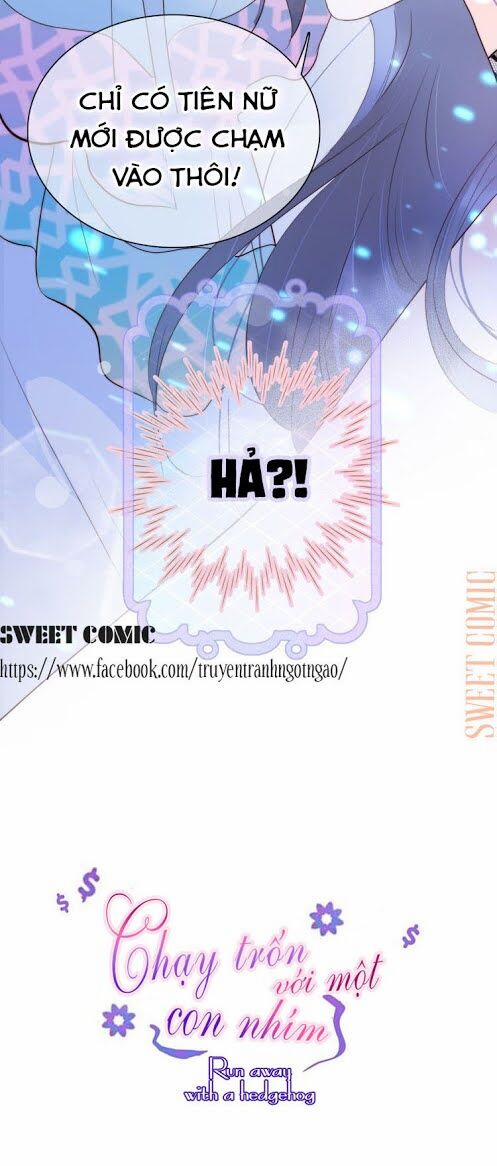 Chạy Trốn Cùng Con Nhím 6 trang 3