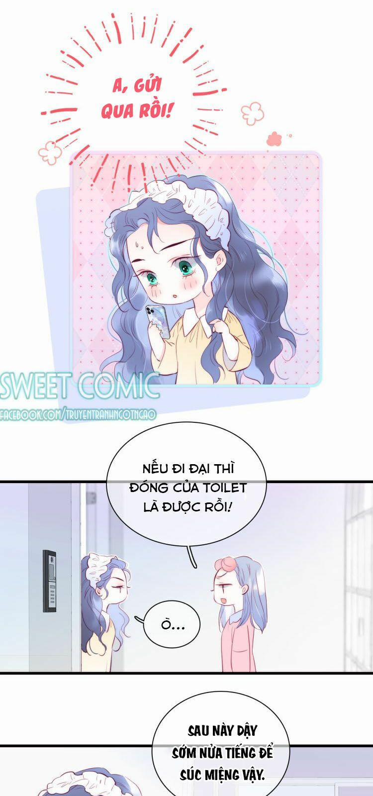 Chạy Trốn Cùng Con Nhím 8 trang 15