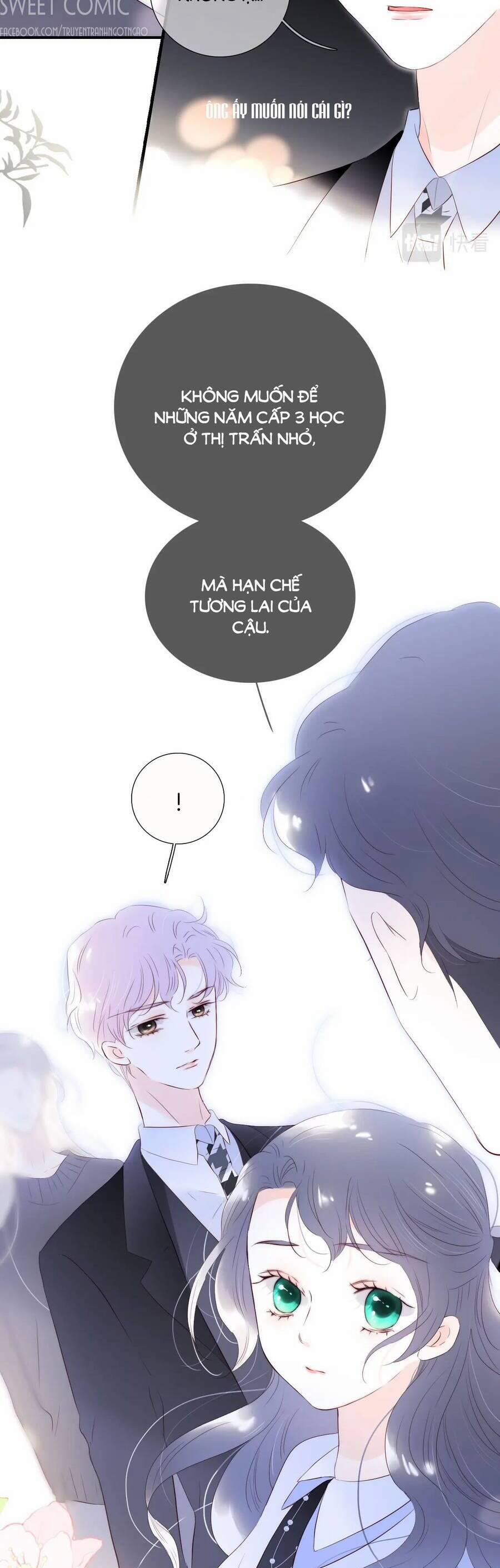 Chạy Trốn Cùng Con Nhím 84 trang 15