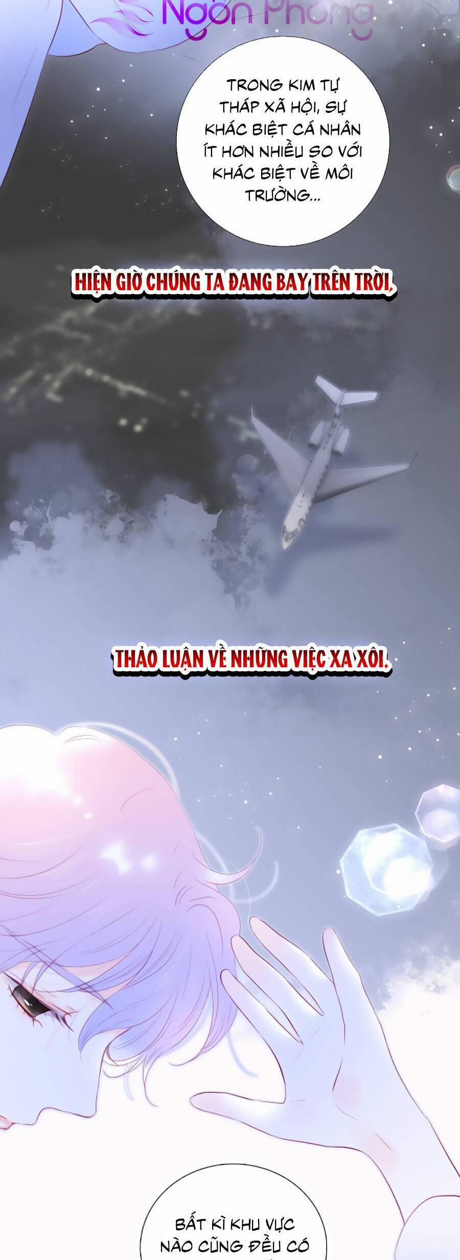 Chạy Trốn Cùng Con Nhím 85 trang 19