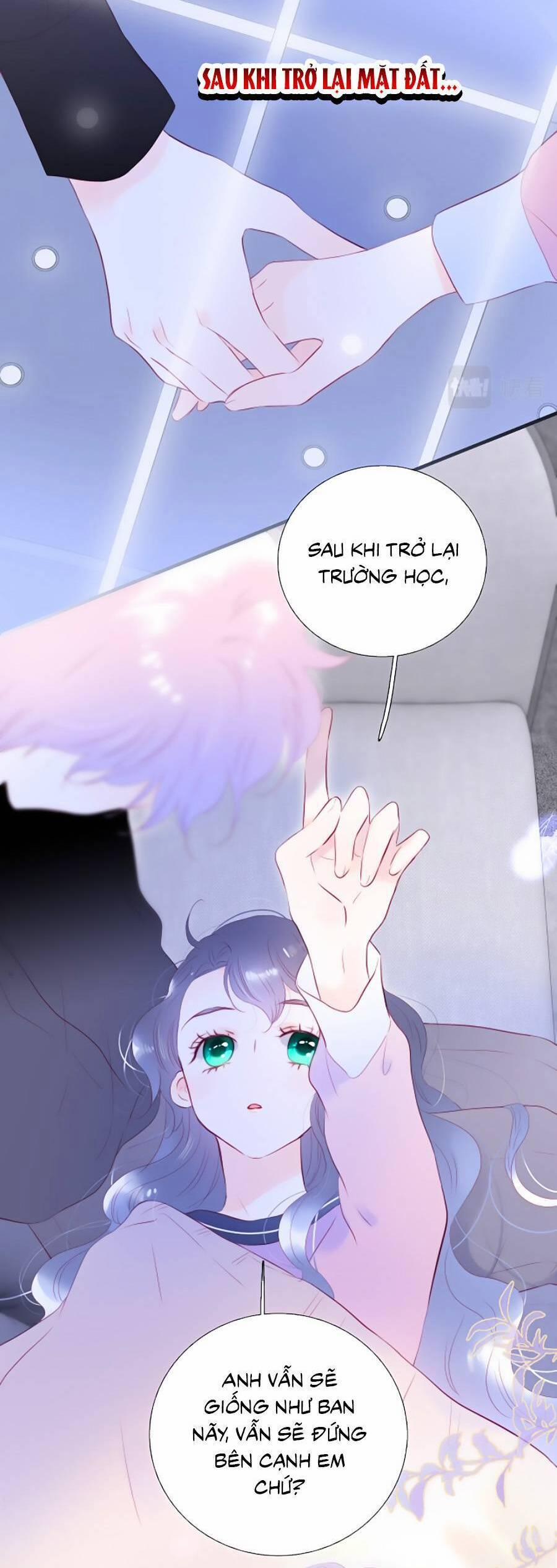 Chạy Trốn Cùng Con Nhím 85 trang 24