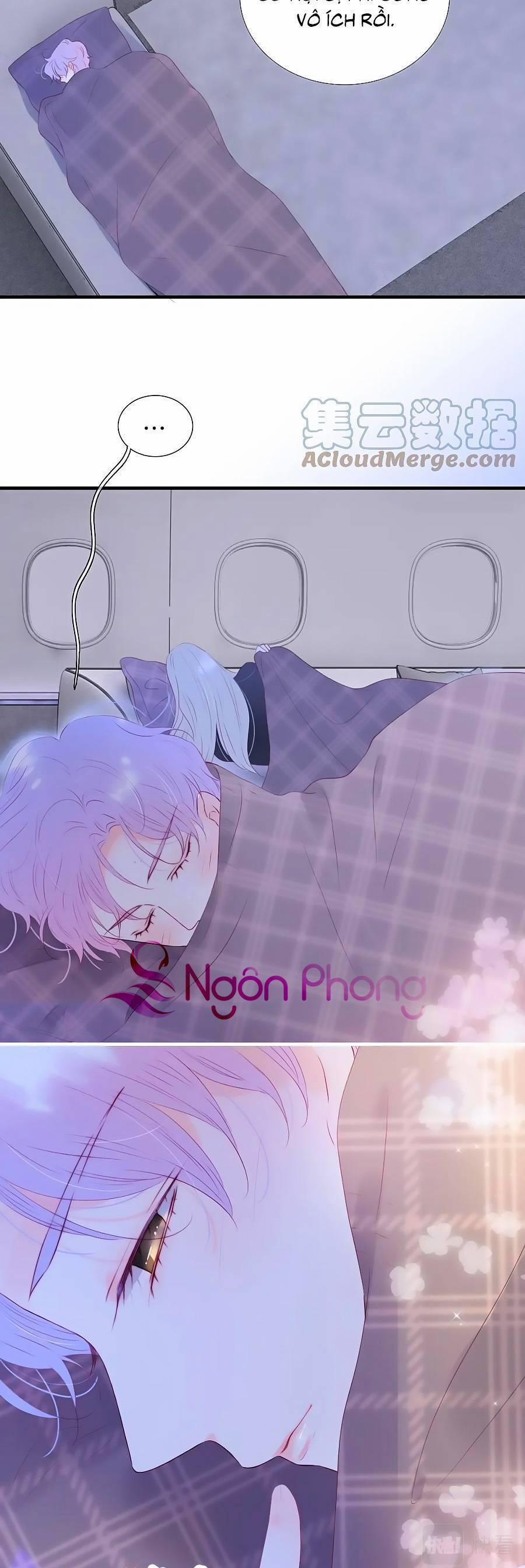 Chạy Trốn Cùng Con Nhím 86 trang 2