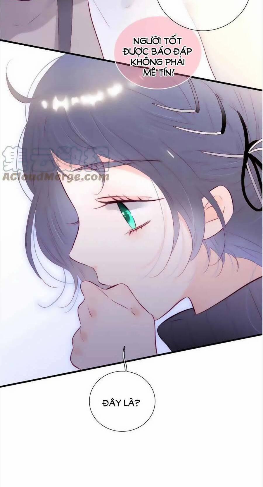 Chạy Trốn Cùng Con Nhím 89 trang 5