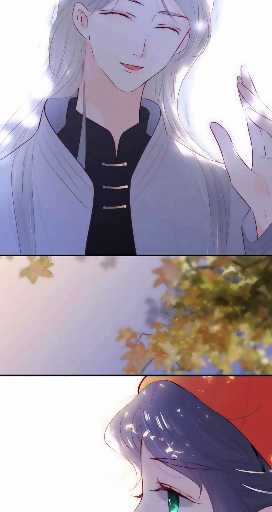 Chạy Trốn Cùng Con Nhím 90 trang 14