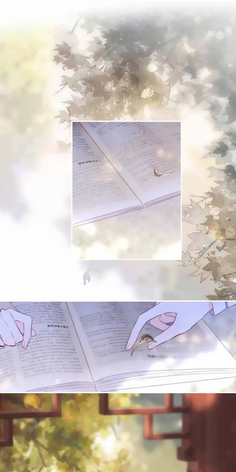 Chạy Trốn Cùng Con Nhím 92 trang 1