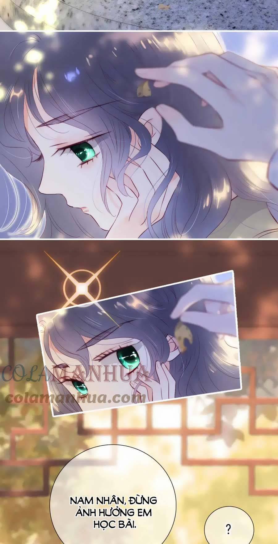 Chạy Trốn Cùng Con Nhím 92 trang 3