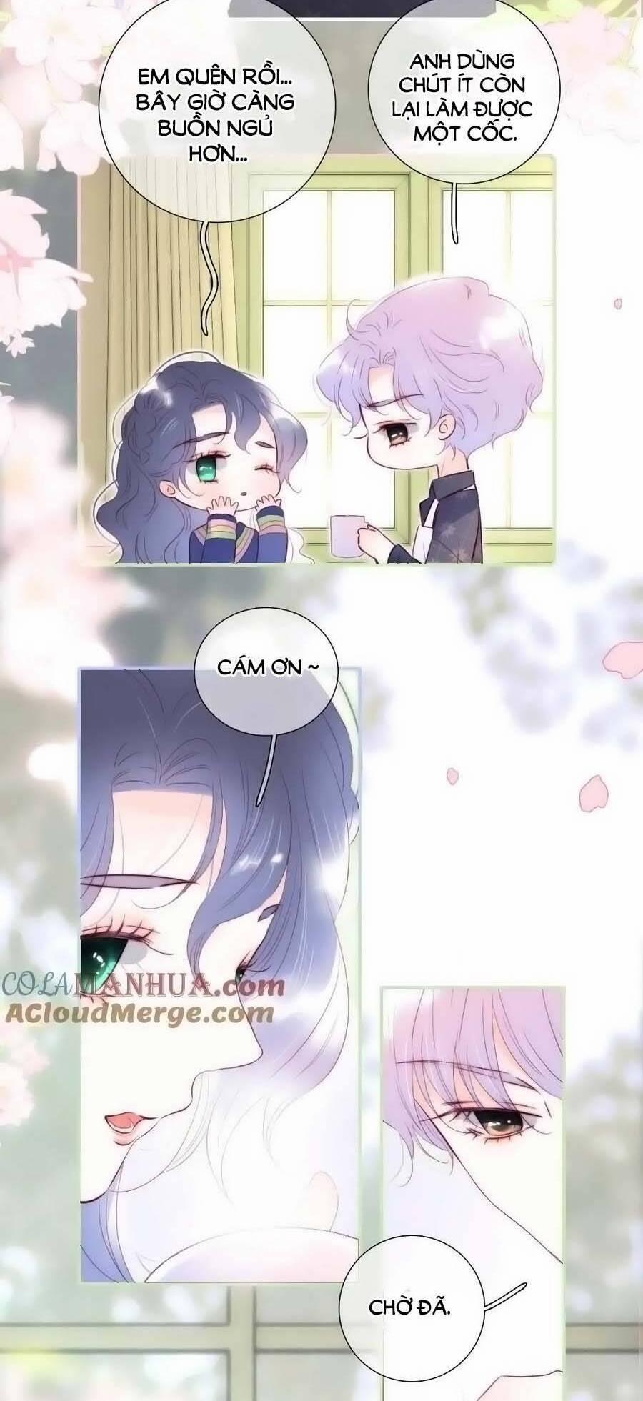 Chạy Trốn Cùng Con Nhím 95.5 trang 18