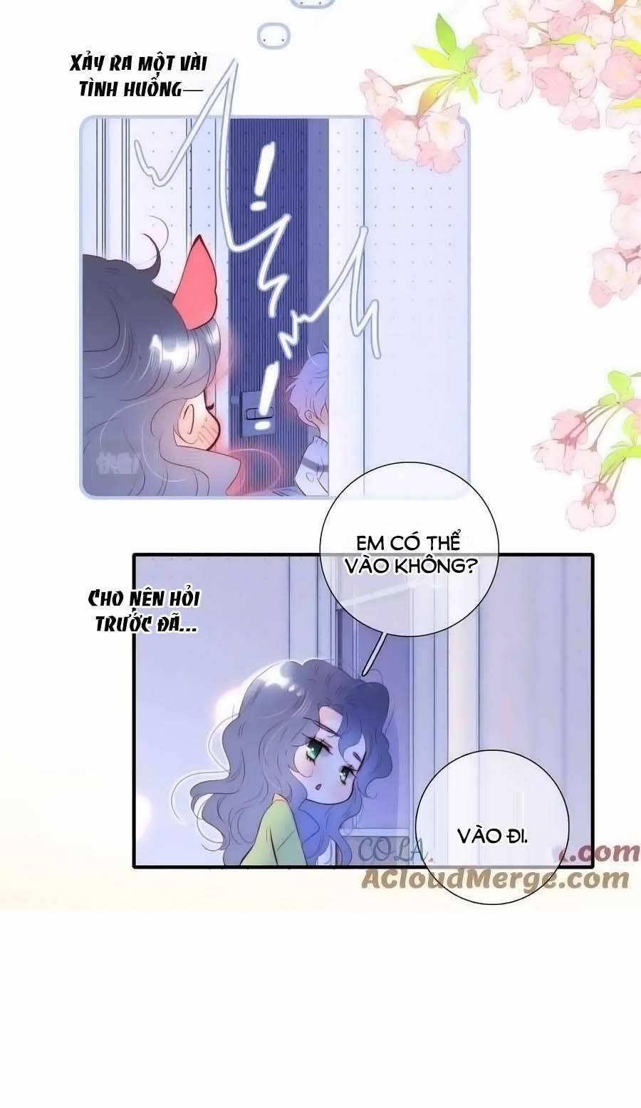 Chạy Trốn Cùng Con Nhím 95.5 trang 3