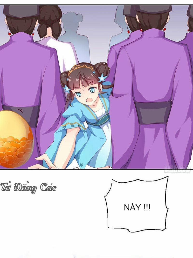 Che Bầu Trời 1 0 Lông vũ 0 trang 17