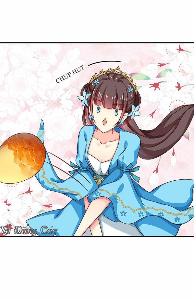 Che Bầu Trời 1 0 Lông vũ 0 trang 23