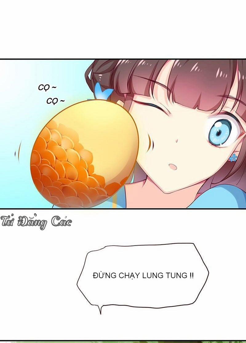 Che Bầu Trời 1 0 Lông vũ 0 trang 24