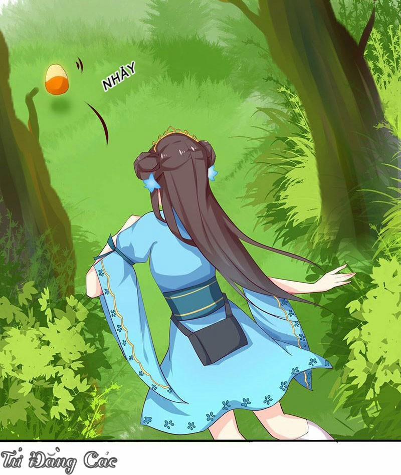 Che Bầu Trời 1 0 Lông vũ 0 trang 25