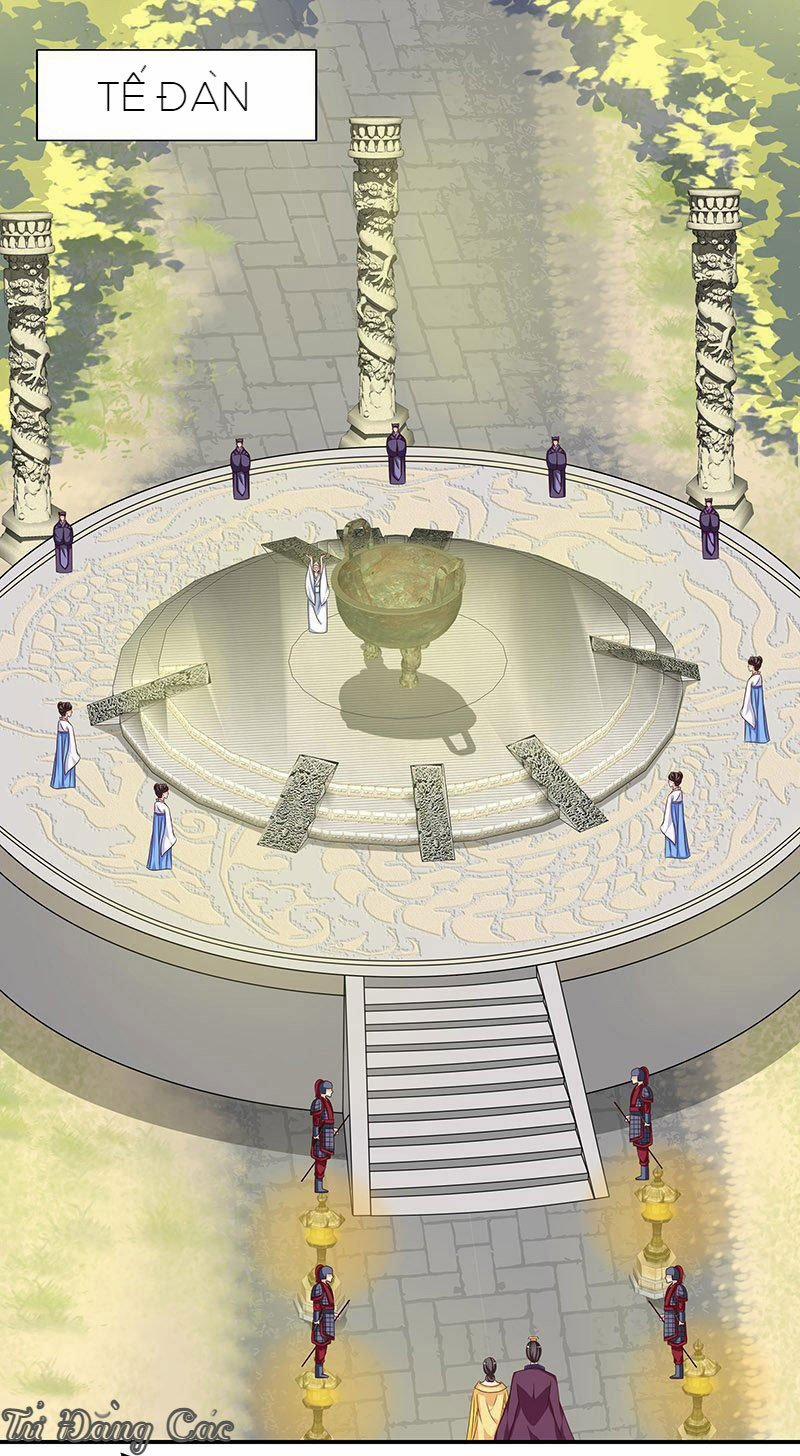 Che Bầu Trời 1 0 Lông vũ 0 trang 3