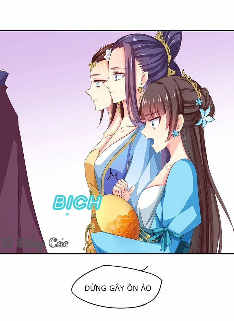 Che Bầu Trời 1 0 Lông vũ 0 trang 8