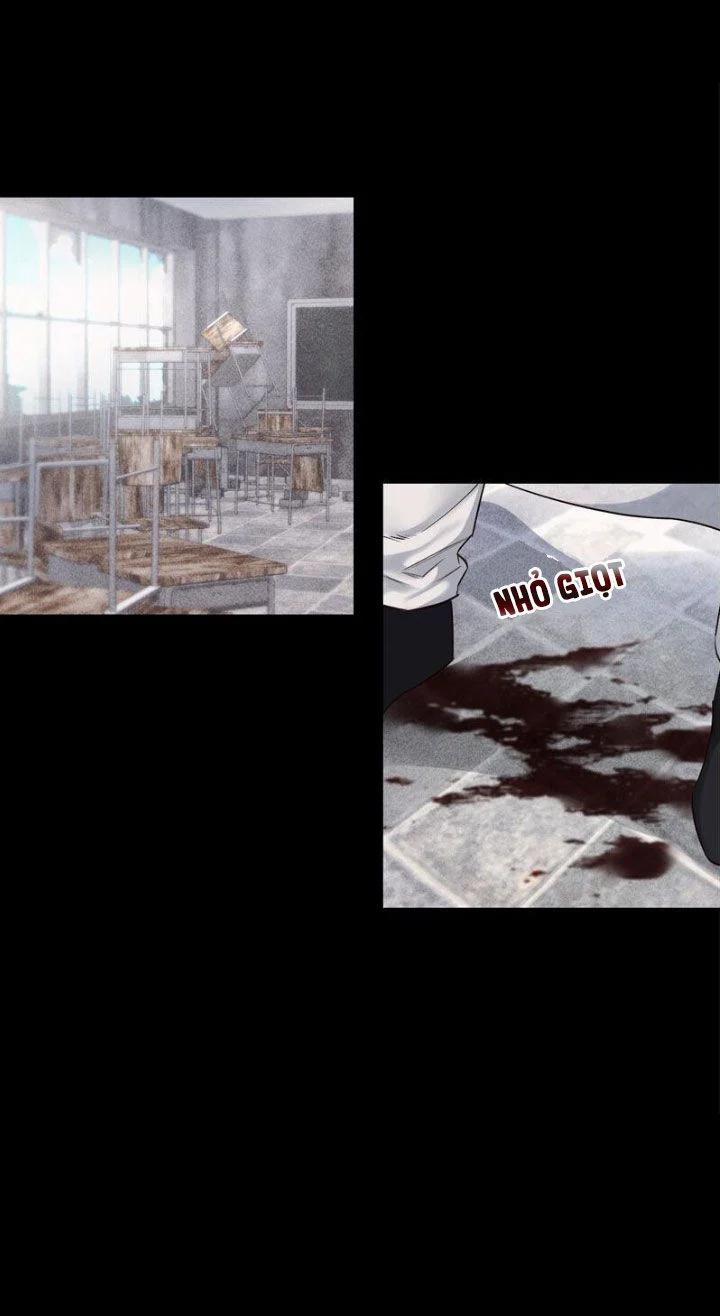 Chế Độ Độc Tài 20 trang 0