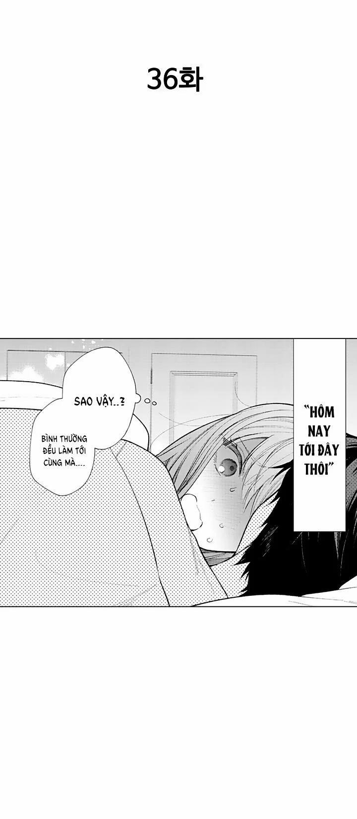 Che Giấu Bằng Nụ Hôn,đừng Để Bị Lộ 13.1 trang 0