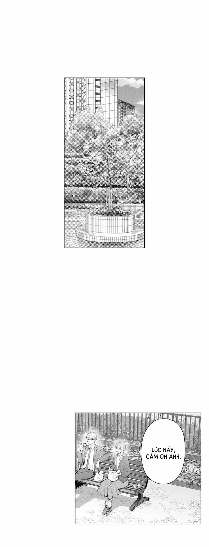 Che Giấu Bằng Nụ Hôn,đừng Để Bị Lộ 17.2 trang 12