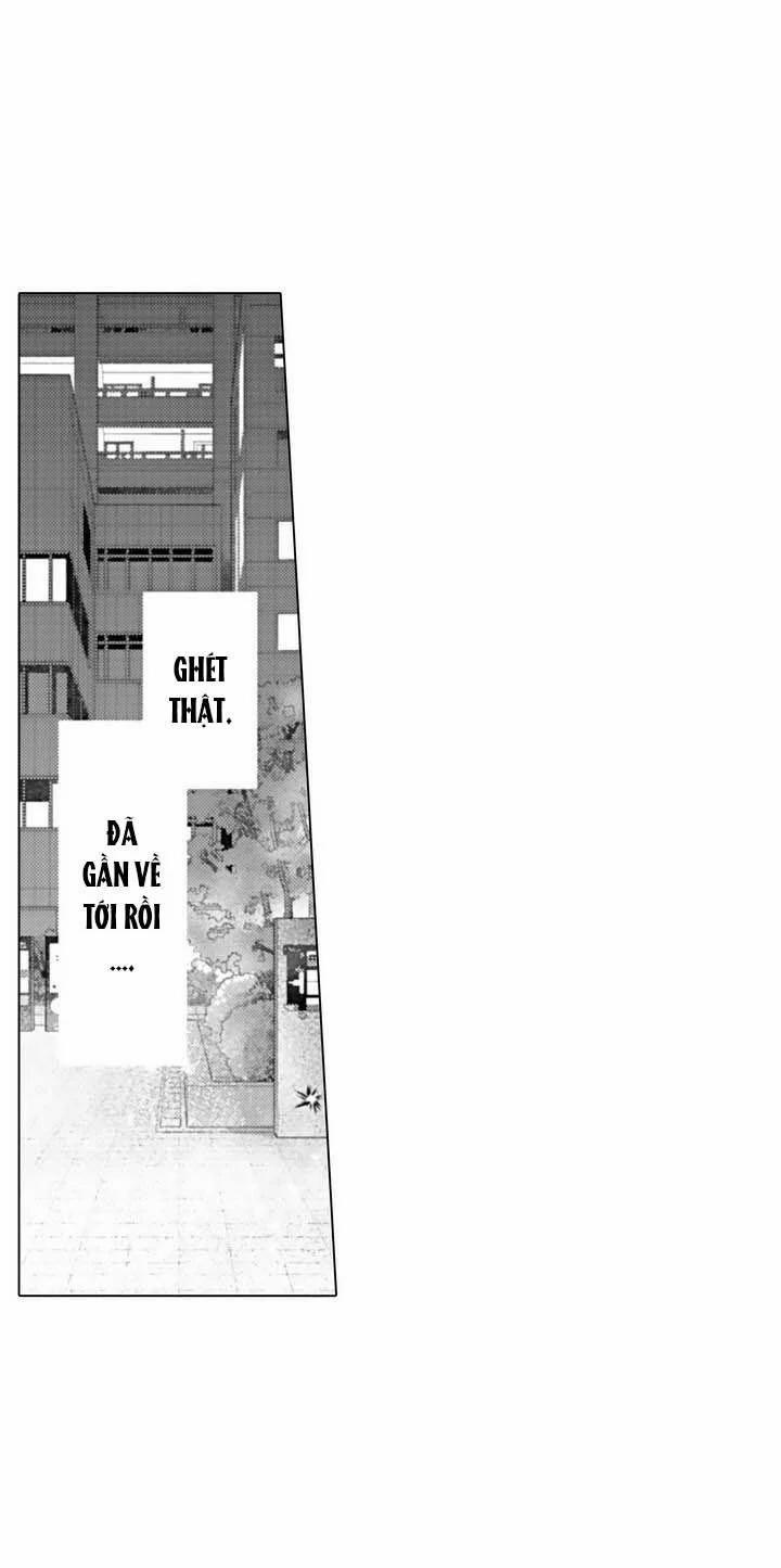 Che Giấu Bằng Nụ Hôn,đừng Để Bị Lộ 6.2 trang 5