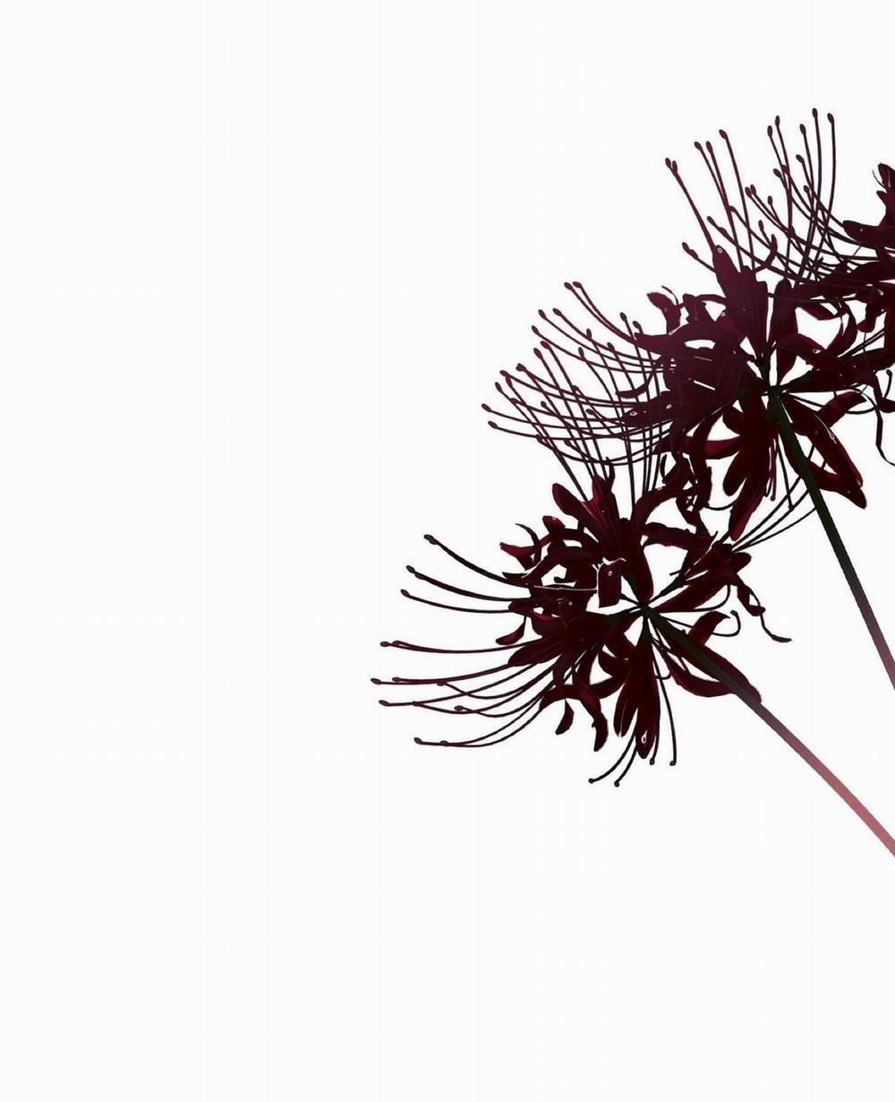 Che Giấu 3 trang 37