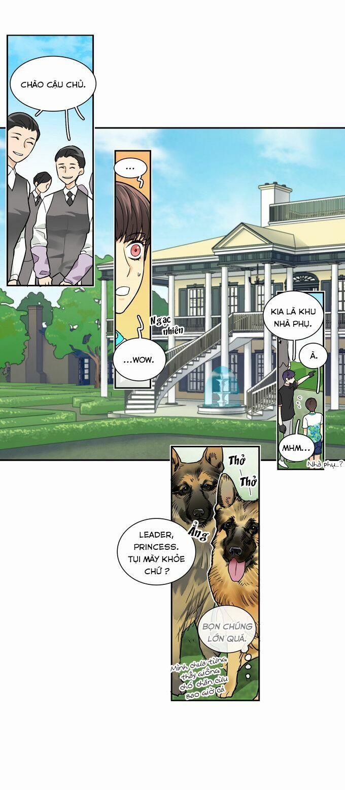 Cherry Boy, That Girl 42 trang 2