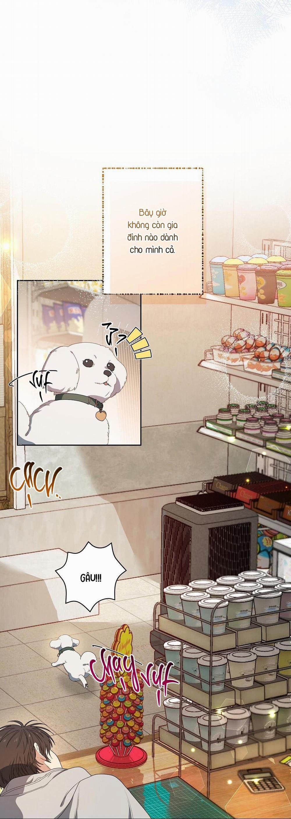 Cherry Cake 1 H+ trang 21