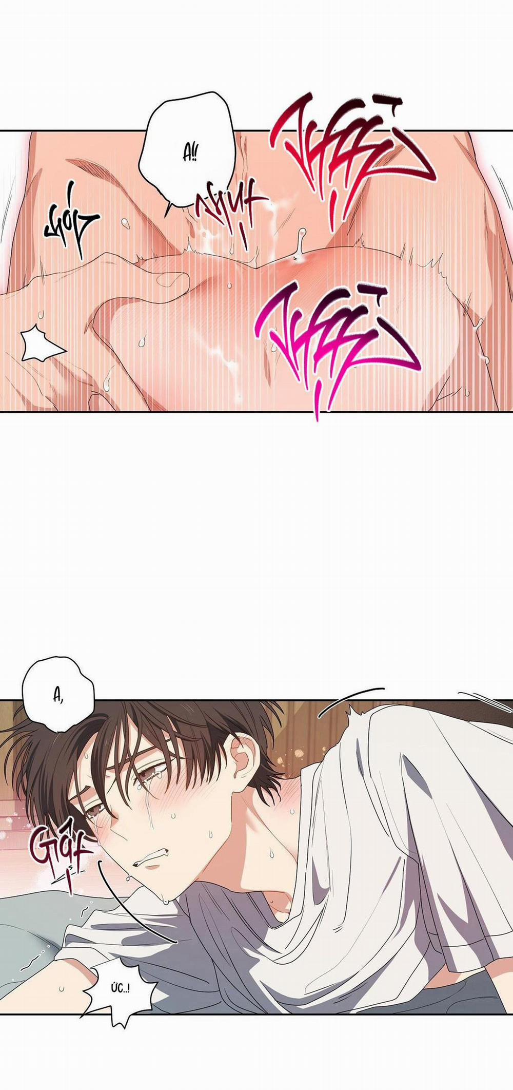 Cherry Cake 1 H+ trang 3