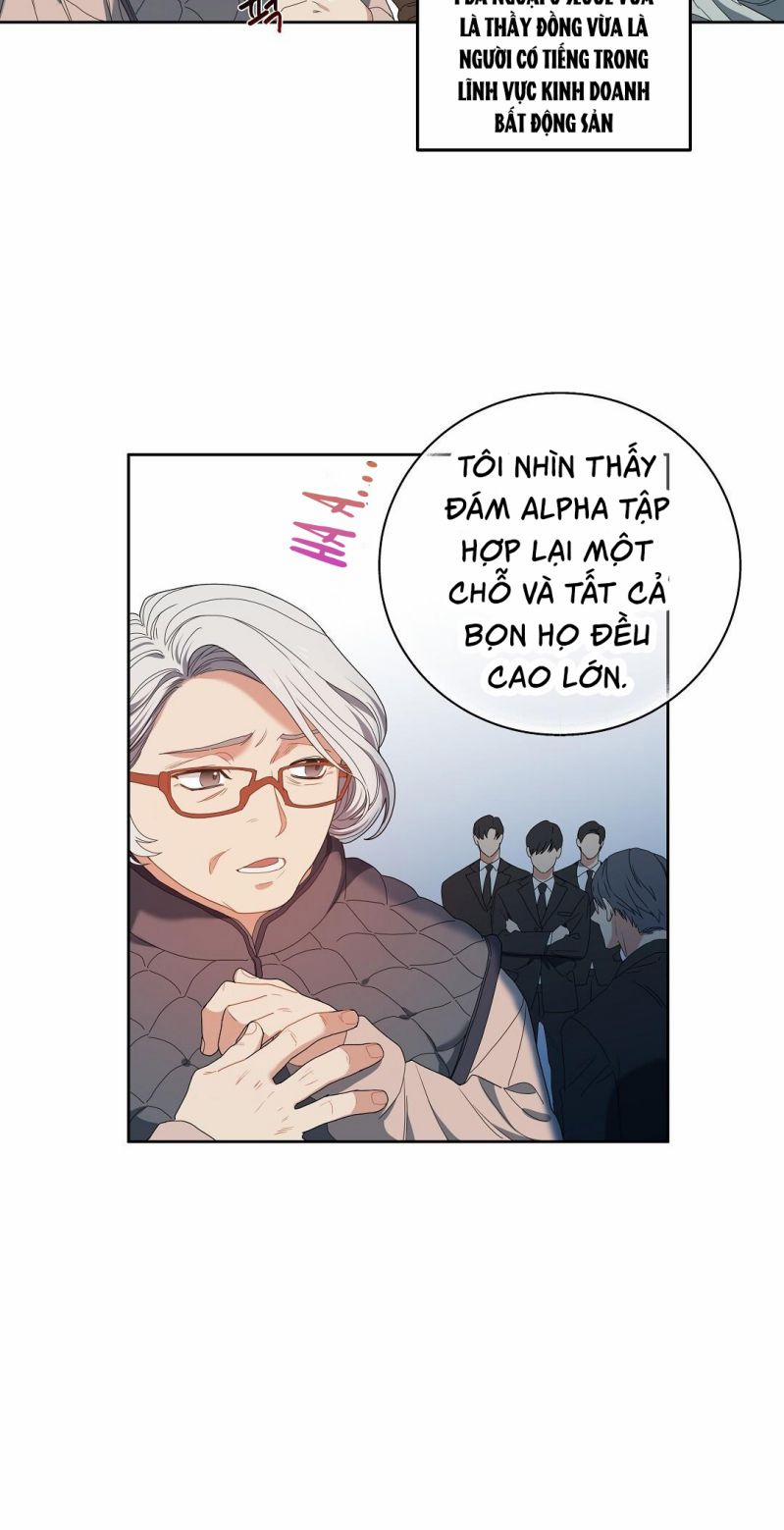 Cherry Cake 1 trang 48