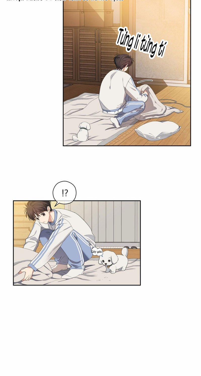 Cherry Cake 11 trang 42