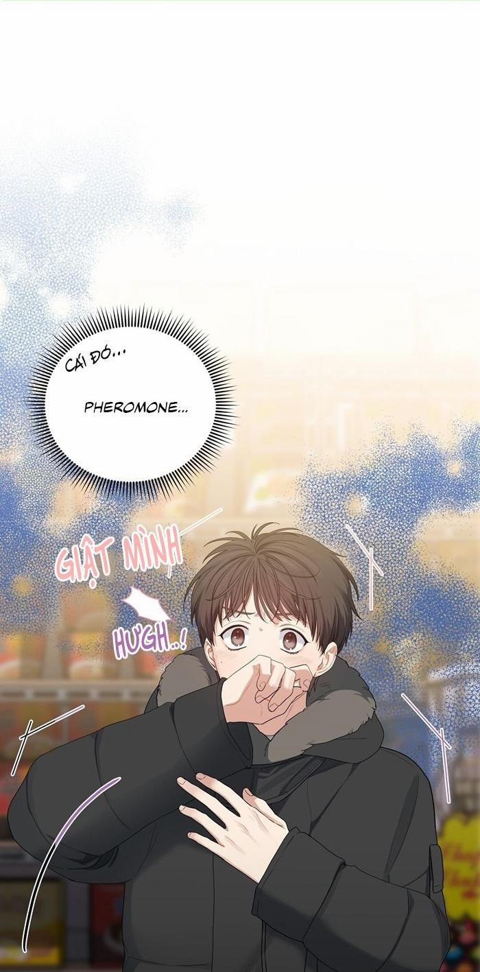 Cherry Cake 18 trang 0