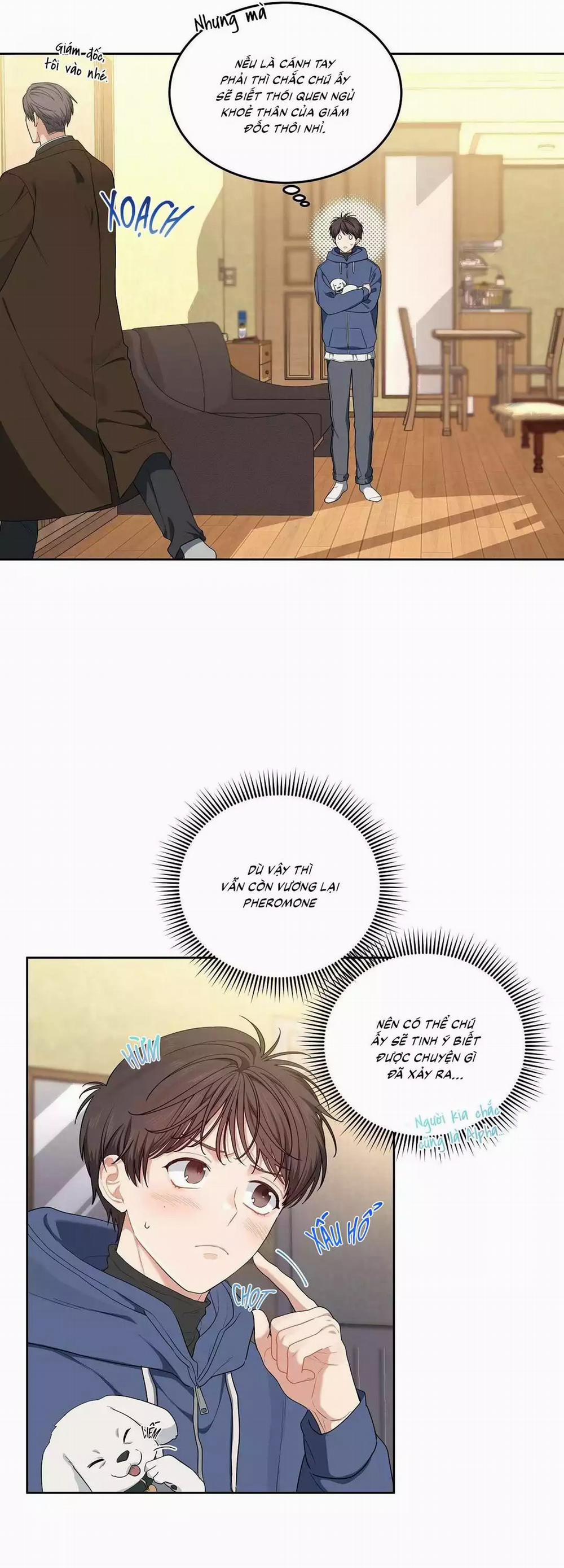 Cherry Cake 22 trang 5