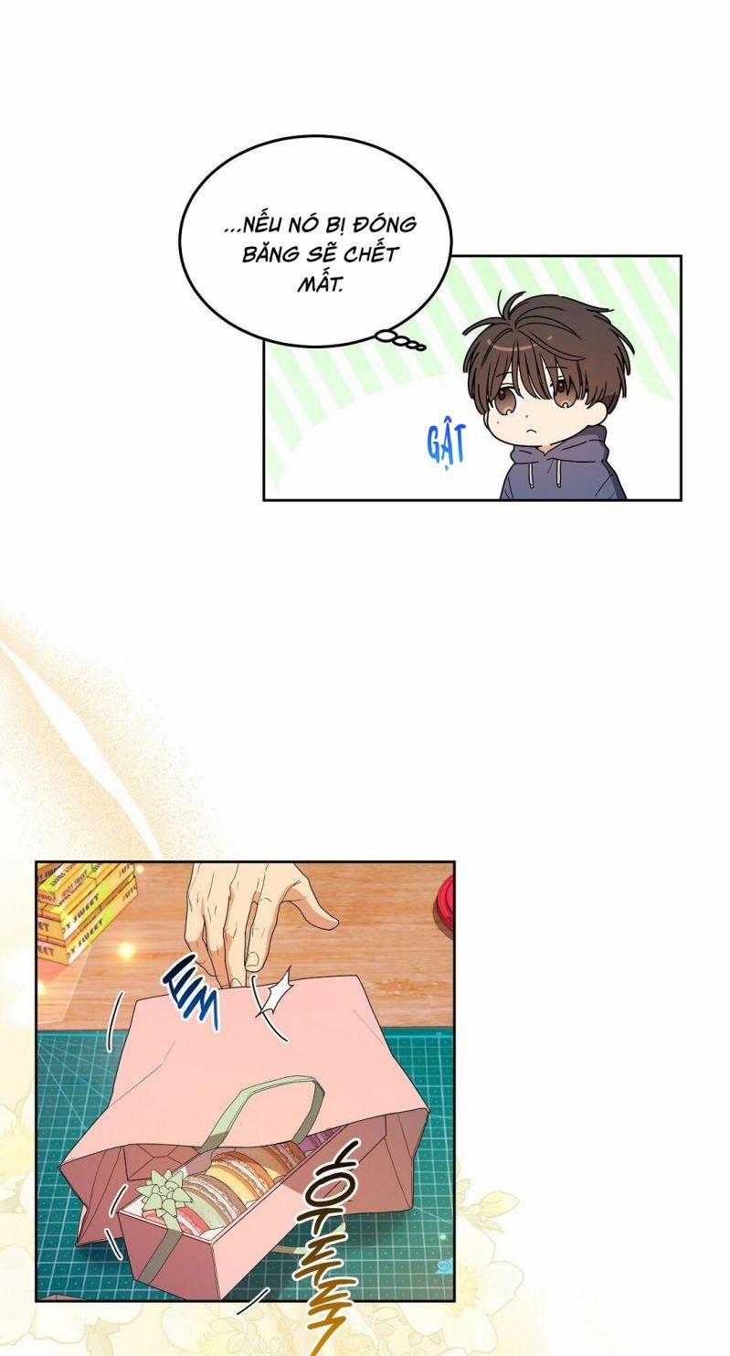 Cherry Cake 3 trang 37