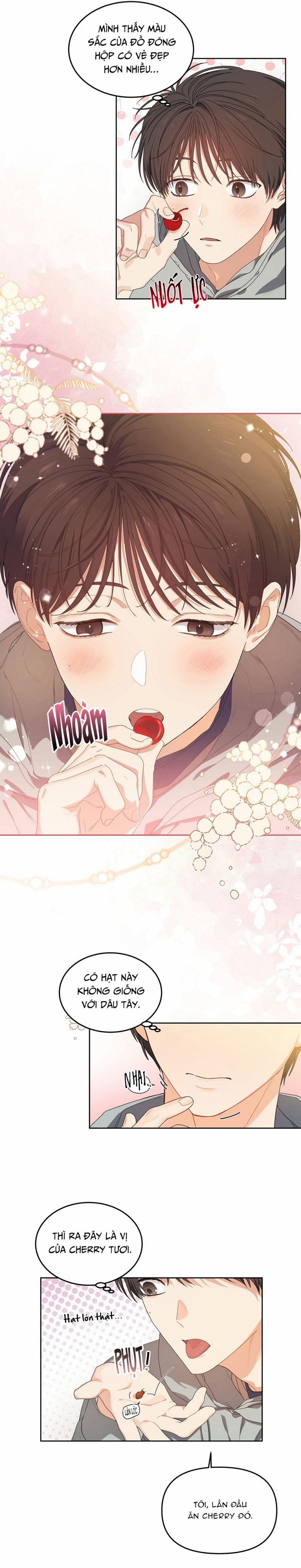 Cherry Cake 5 trang 5