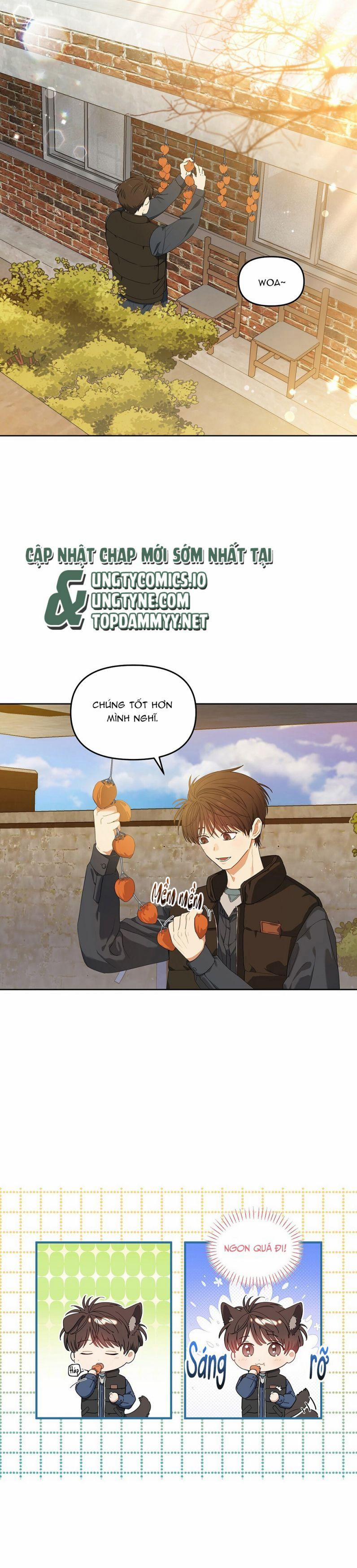 Cherry Cake 6 trang 1