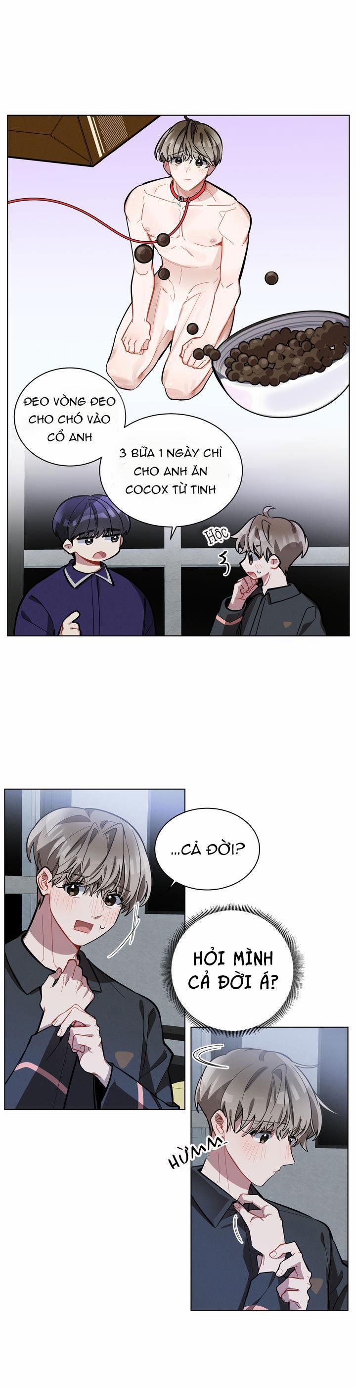 Cherry Scandal 11 trang 25