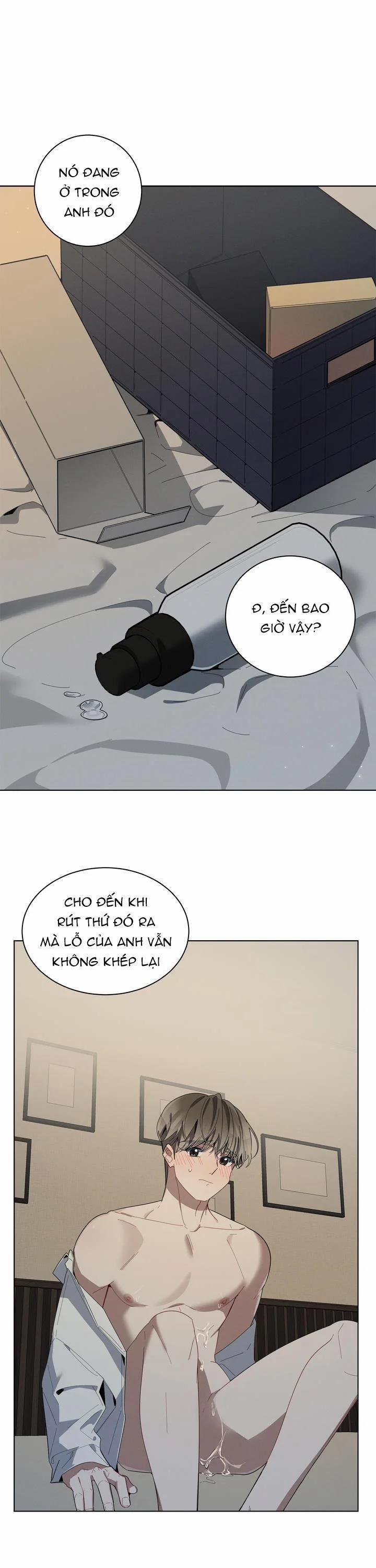 Cherry Scandal 28 trang 1