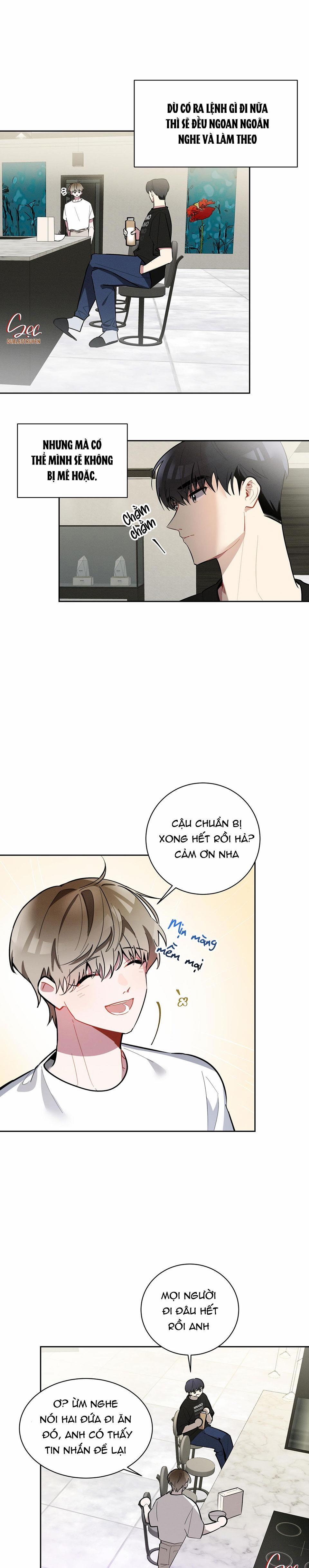 Cherry Scandal 5 trang 20