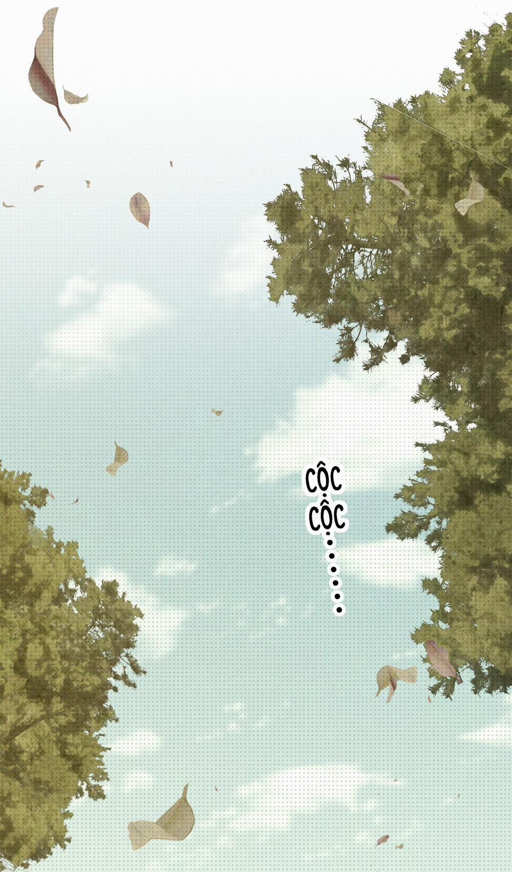 Chí Âm Chí Dương (END) 3 trang 16