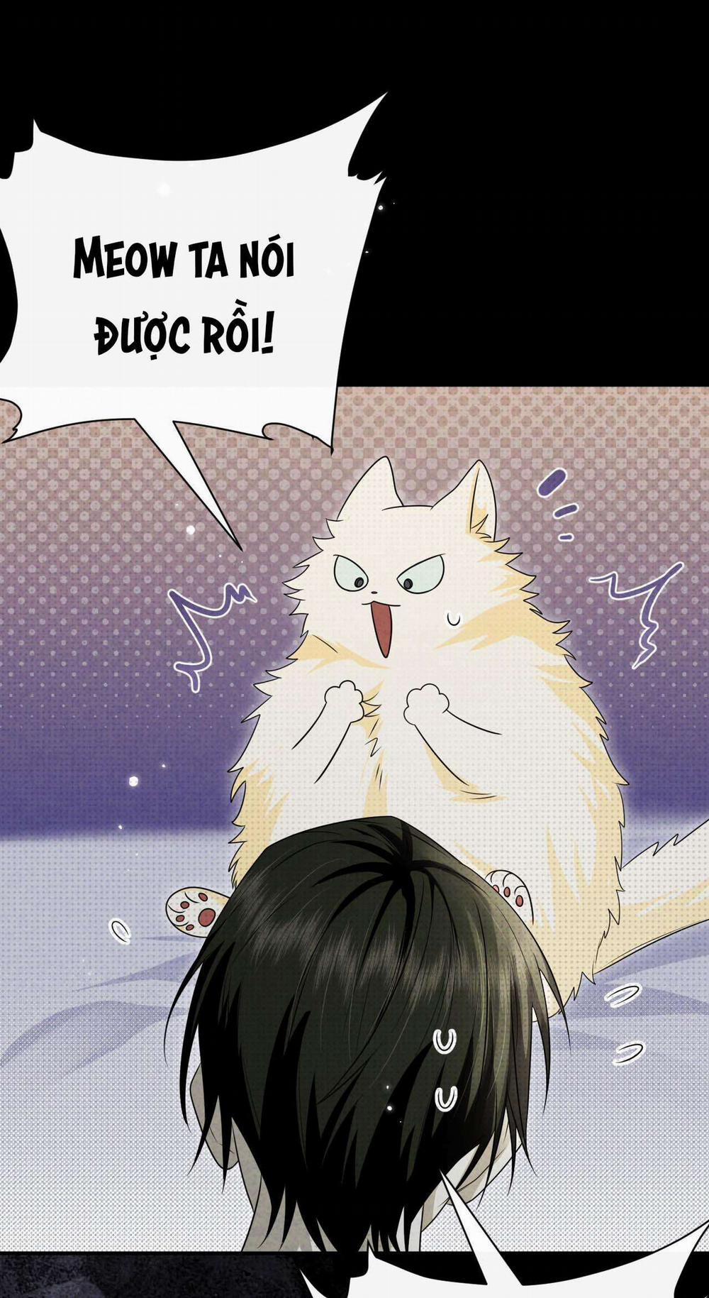 Chí Âm Chí Dương 27 trang 29