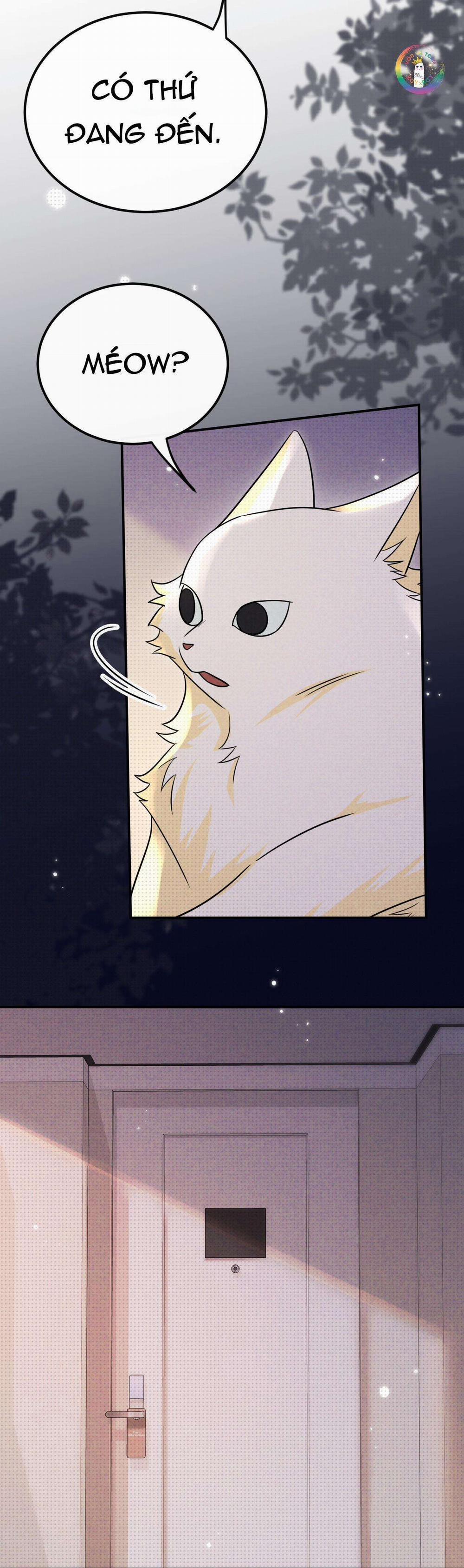 Chí Âm Chí Dương 32 trang 11