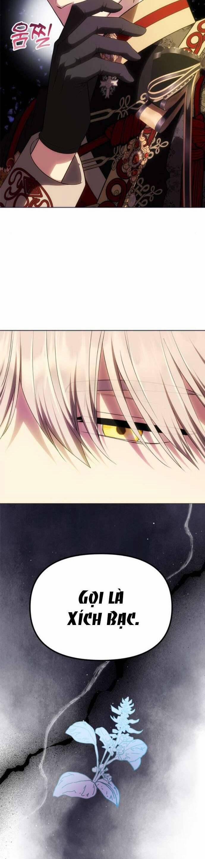 Chỉ Cần Một Người Chồng Là Đủ 49 trang 33