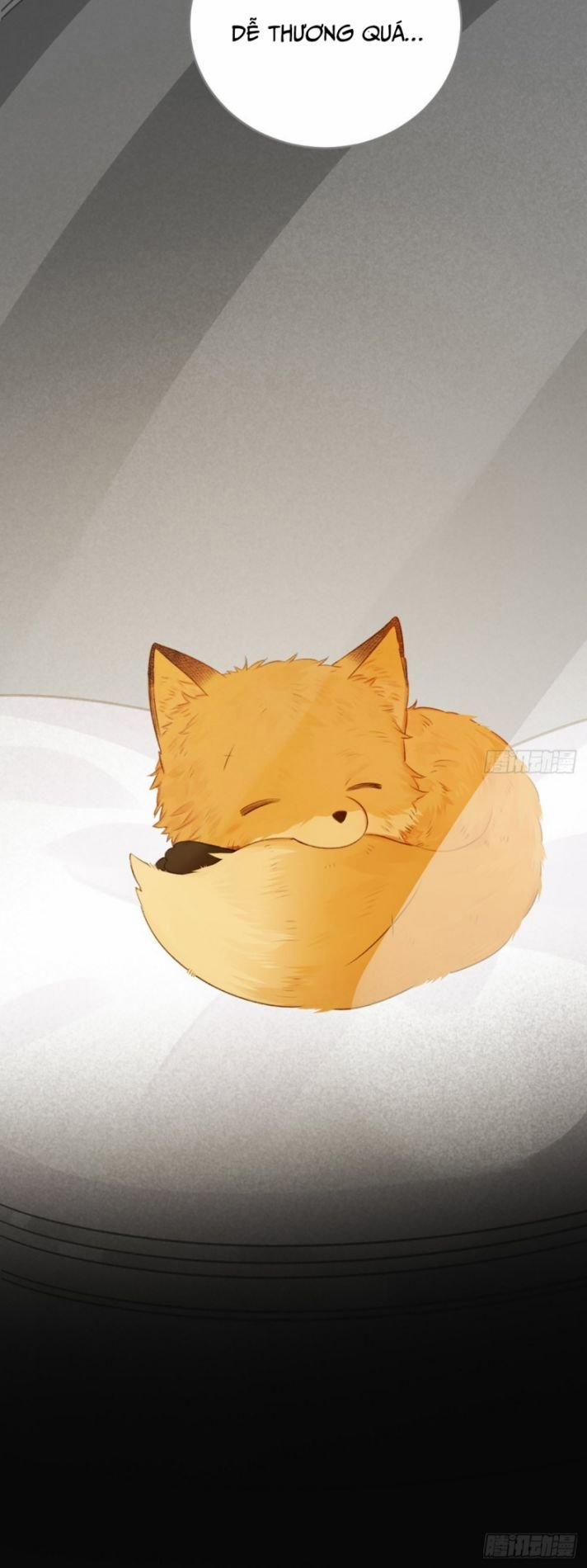 Chỉ Có Đuôi Là Không Thể 2 trang 42