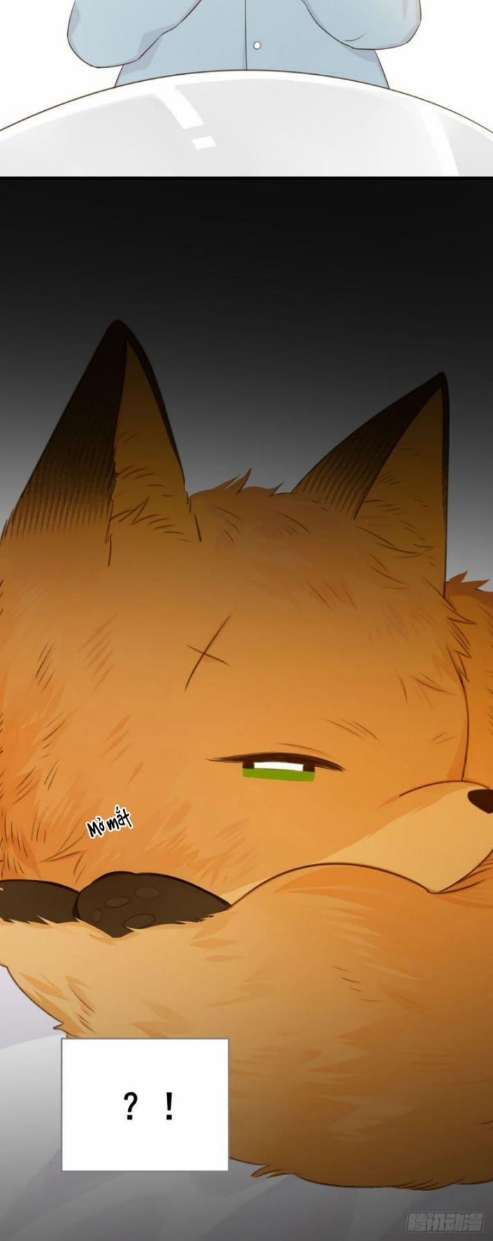 Chỉ Có Đuôi Là Không Thể 2 trang 47