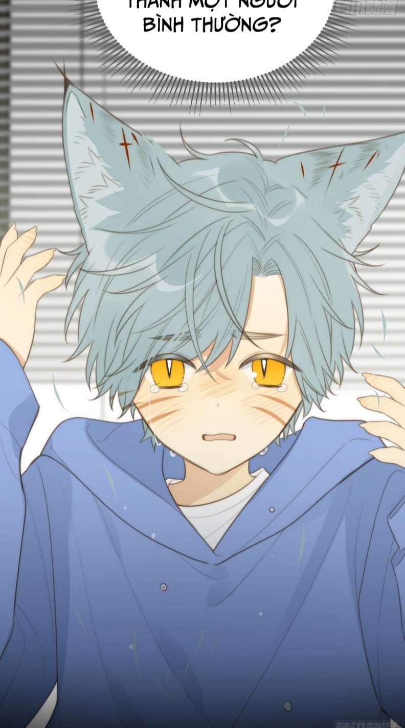 Chỉ Có Đuôi Là Không Thể 27 trang 46