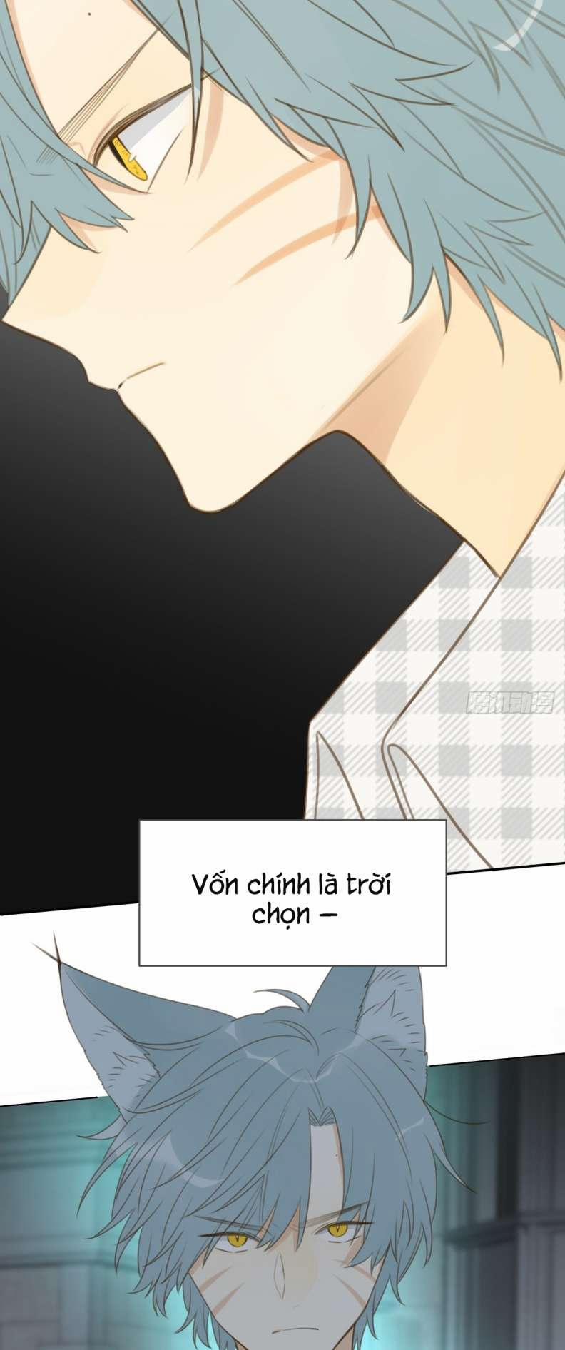 Chỉ Có Đuôi Là Không Thể 28 trang 4