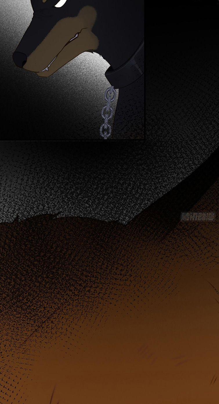 Chỉ Có Đuôi Là Không Thể 3 trang 11