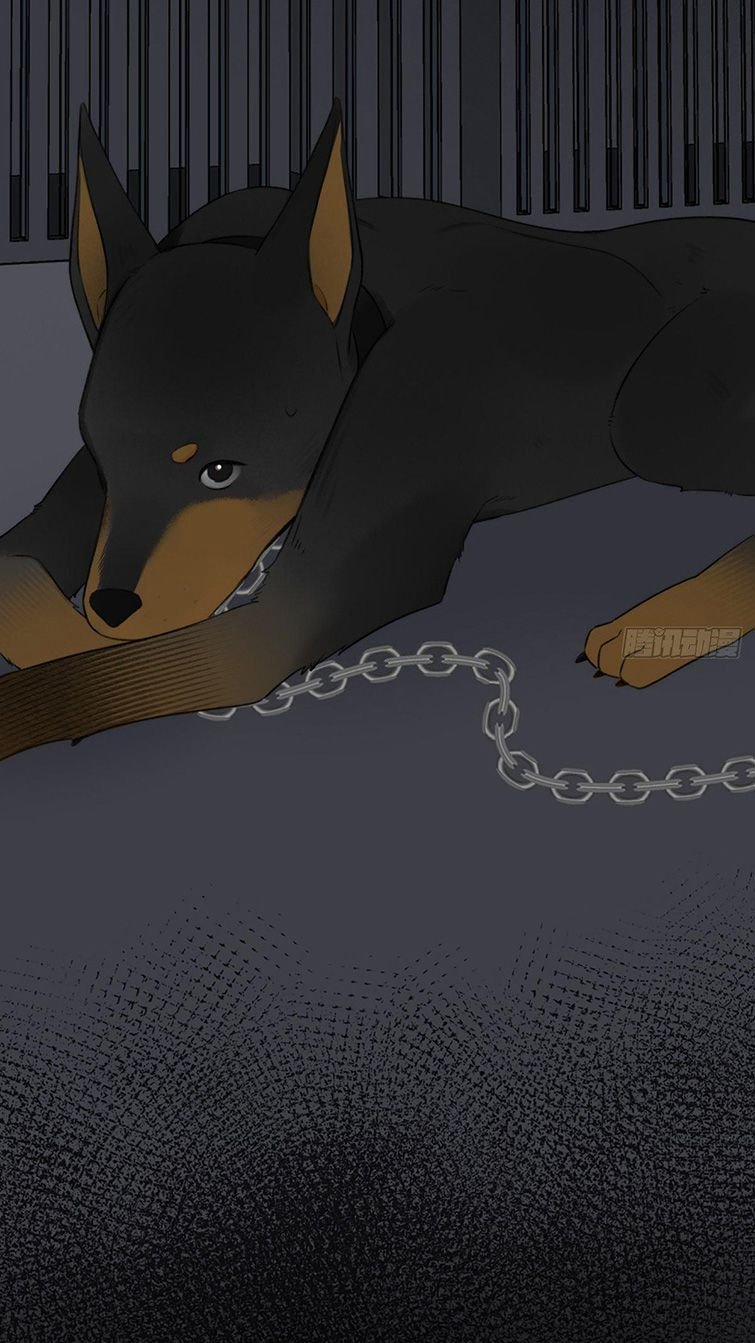 Chỉ Có Đuôi Là Không Thể 3 trang 14