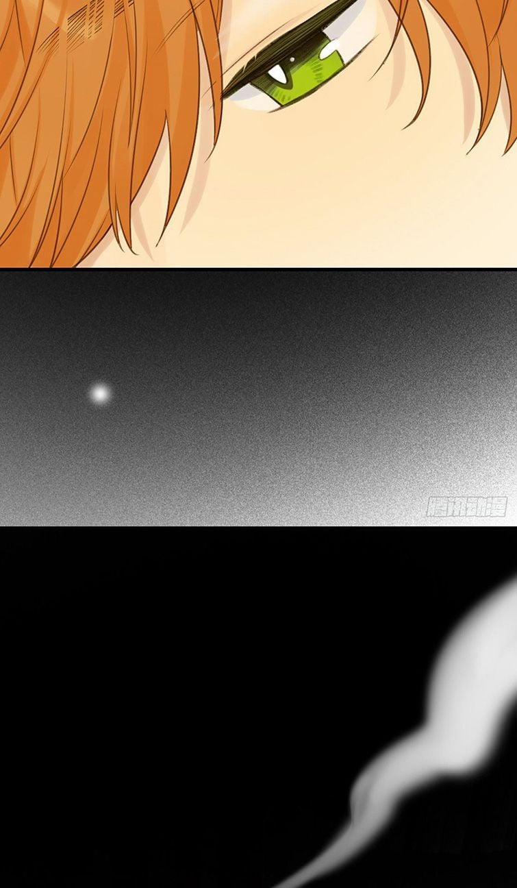 Chỉ Có Đuôi Là Không Thể 3 trang 42