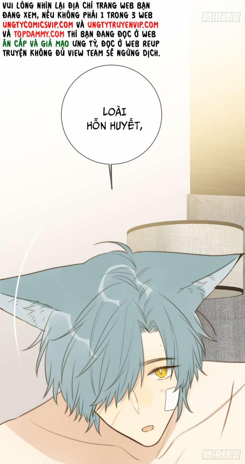 Chỉ Có Đuôi Là Không Thể 31 trang 16