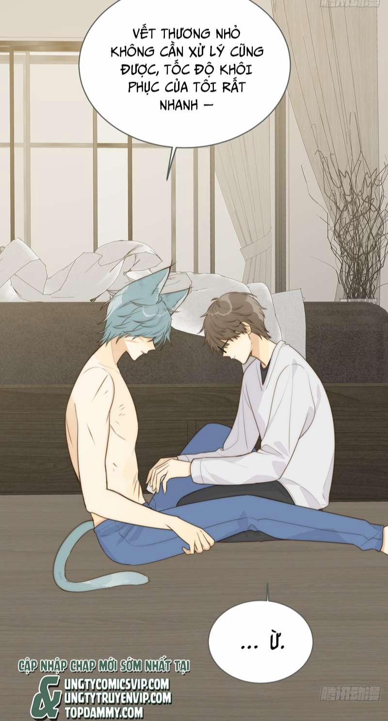 Chỉ Có Đuôi Là Không Thể 31 trang 2